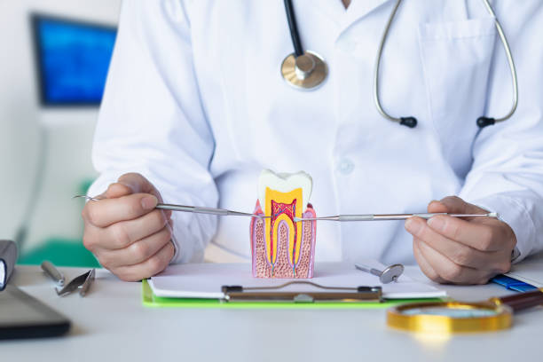Best Emergency Dental Surgery in New Castle, IN